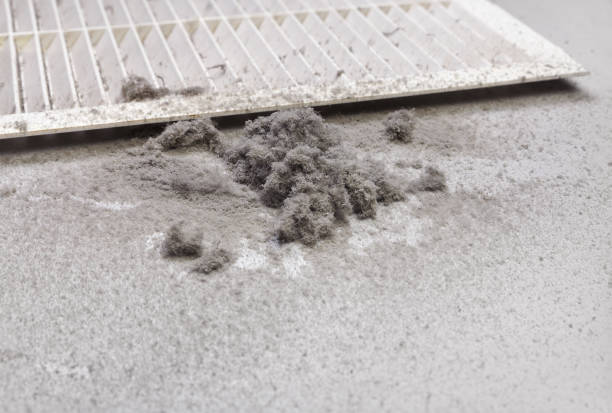 Trusted Pearl Beach, MI Airduct Cleaning Experts